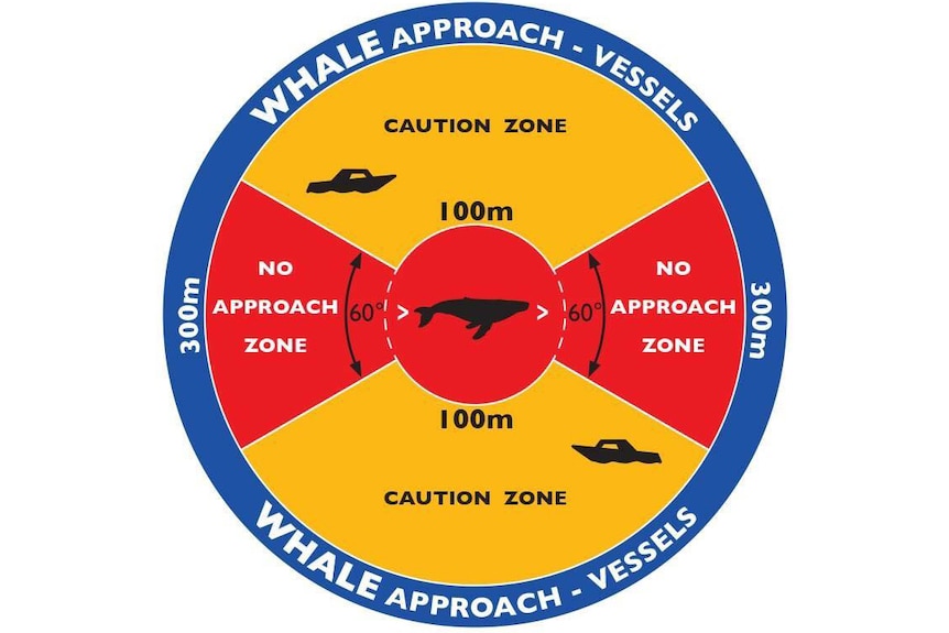 Diagram indicating permissible proximity to whales.