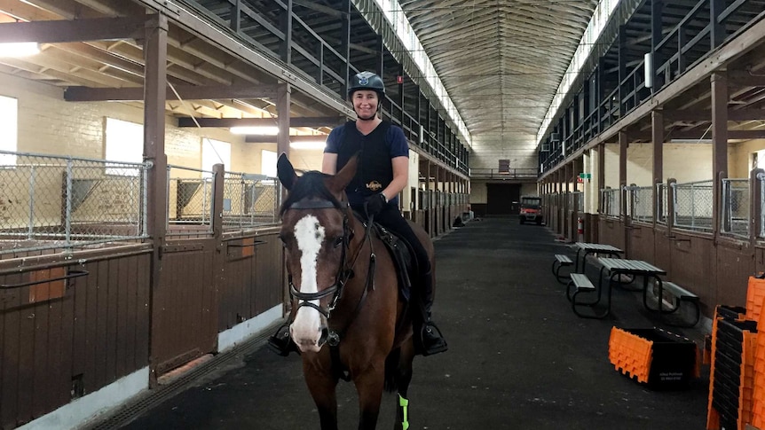 A woman with a police helmet on a large horse, inside expansive stables.