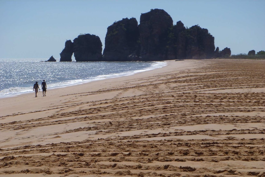 Turtle tracks captured by WAMSI researchers at at Cape Domett in the Kimberley.