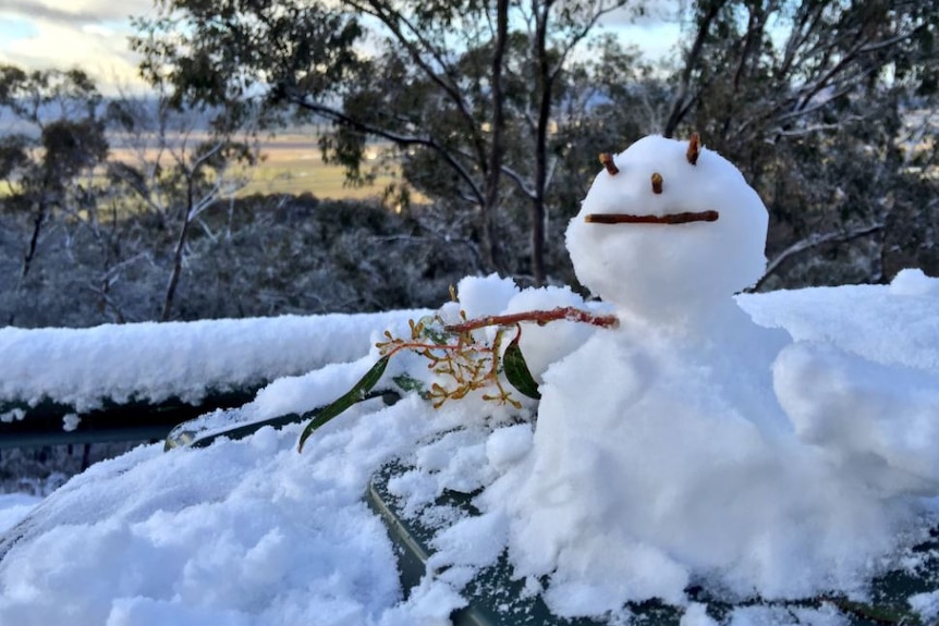 A snowman looks out over Canberra from the top of Mount Ainslie. (13 July 2016)