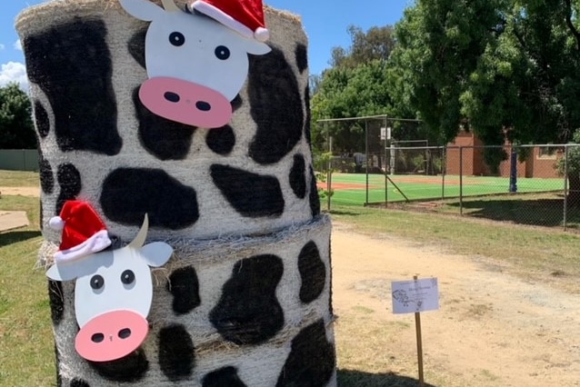 a hay bale stack has white and black cows wearing  Santa hats painted on it 