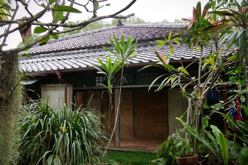 A traditional Japanese home surrounded by plants