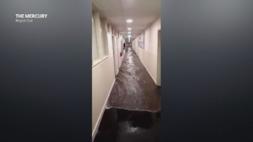 Car parks and hallways flooded in Hobart.