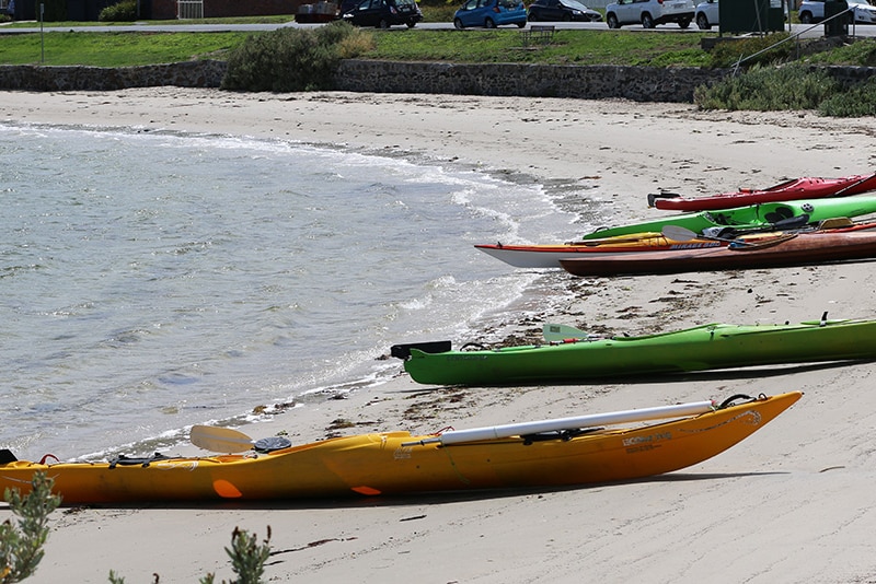 Kayaks lined up on Howrah Beach