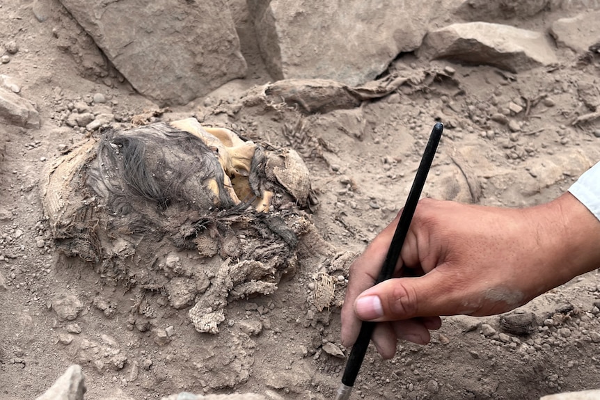 A person holds a paintbrush in dirt near mummy remnains.