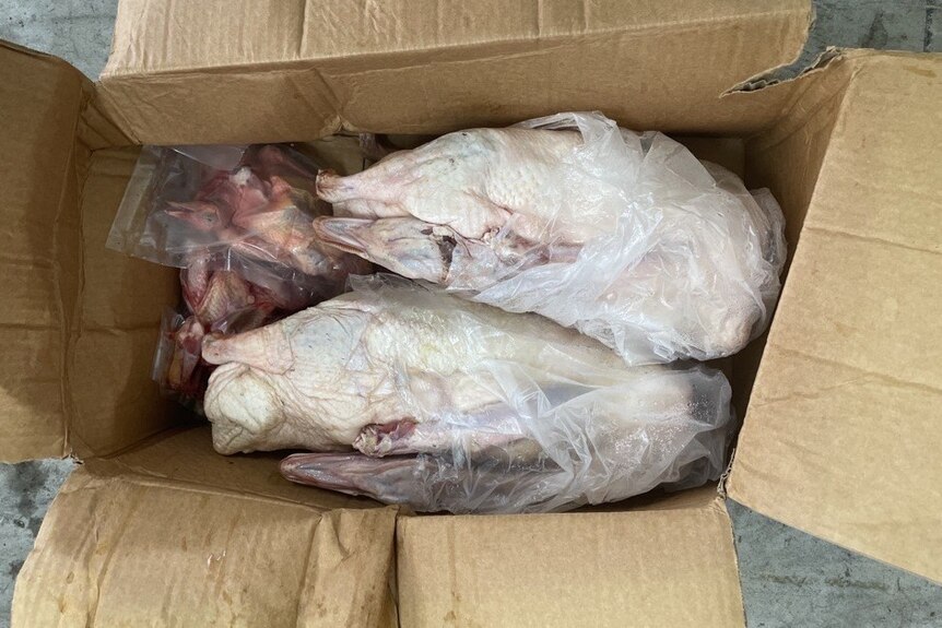Poultry meat products were among the items seized.