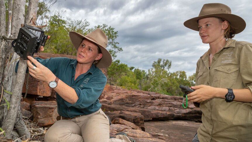 Two ecologists from Australian Wildlife Conservancy check a camera trap