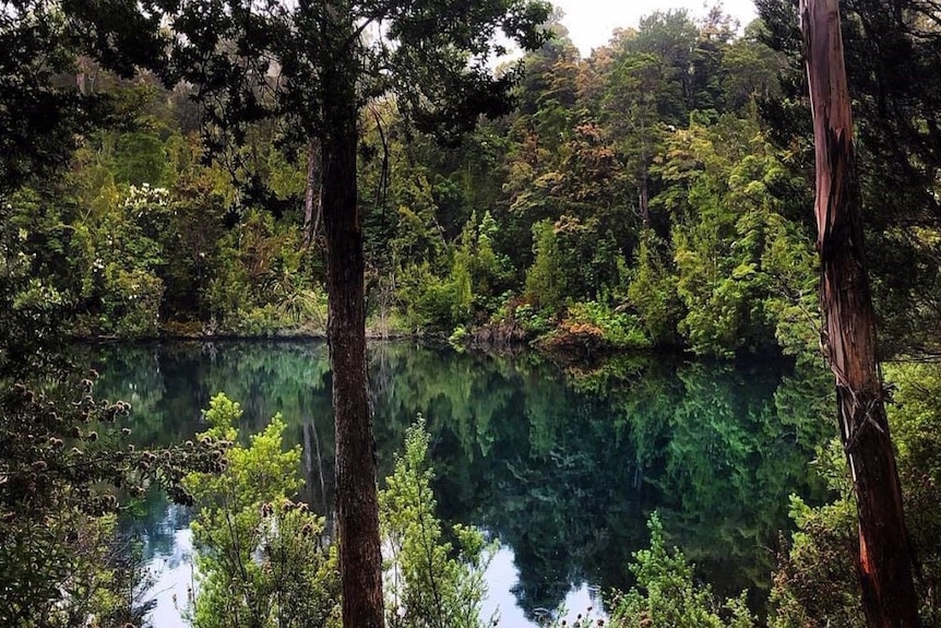 Picture of a blue lake surrounded by green forest