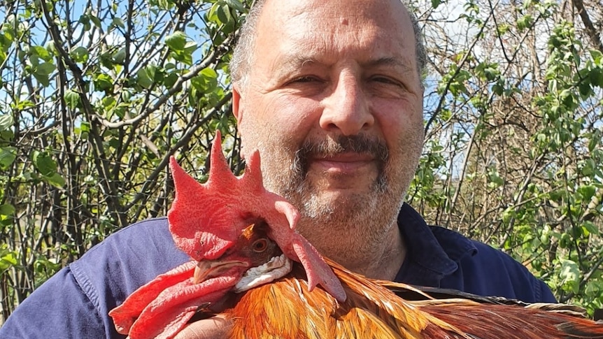 A man holds a rooster 