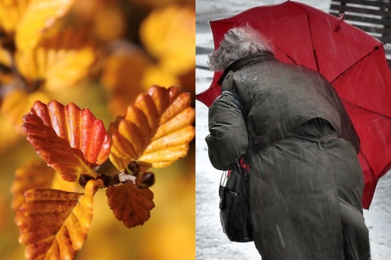 Composite image of autumn leaves and a woman under a red umbrella