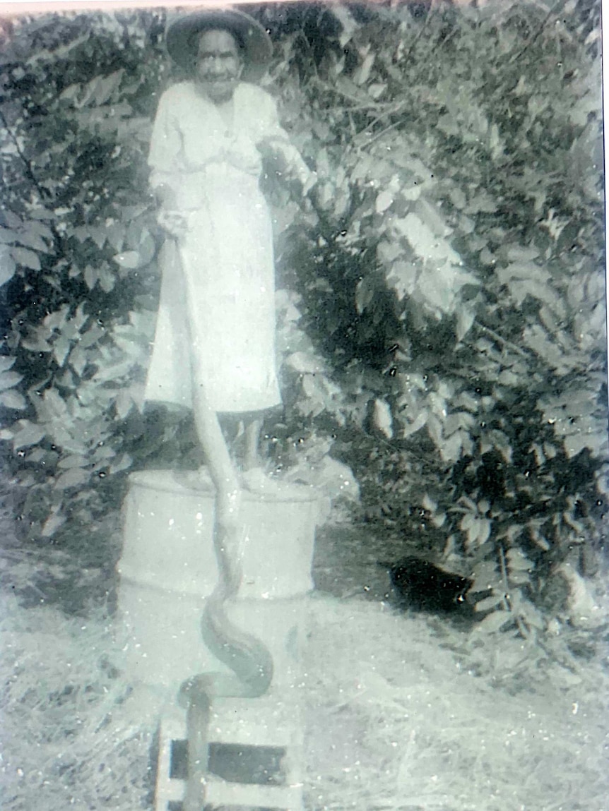 Nellie Flynn from Batchelor NT holding a snake standing on a barrel