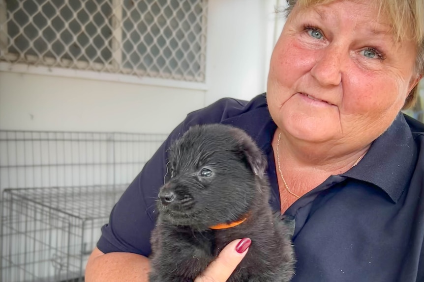A woman holds a little black puppy