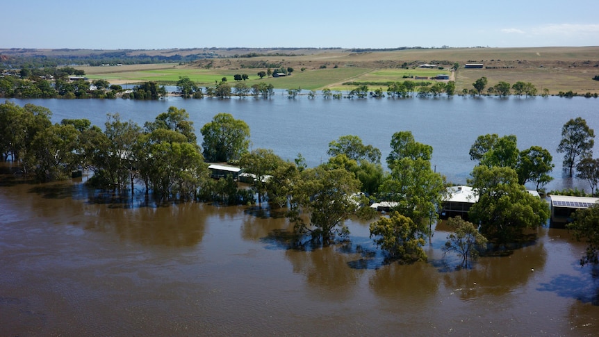 A town surrounded by water