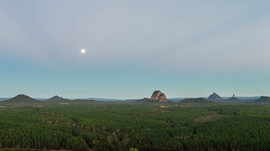 A wide angle shot of forestry plantation and Glasshouse Mountains.