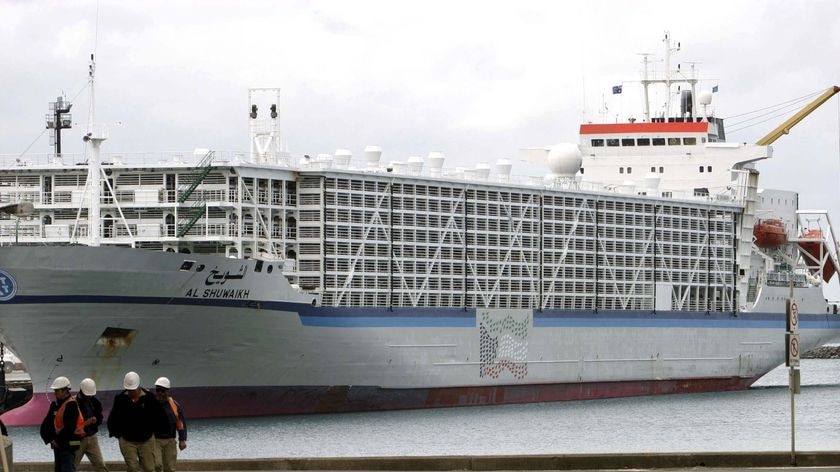 A live export ship sits at Portland, Victoria