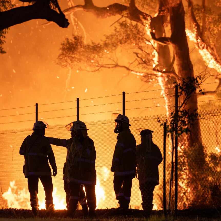 Firefighters battling urban bushfire