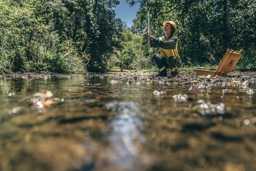 A woman in an HQPlantations outfit testing water in a creek.