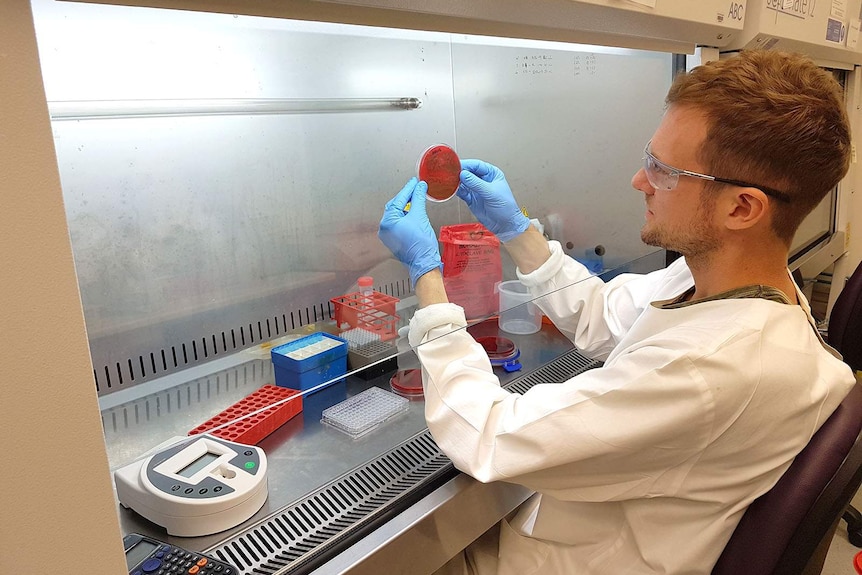 A scientific researcher in a white coat analysing a slide in a laboratory