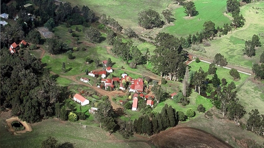 overhead of multiple buildings in the green bush