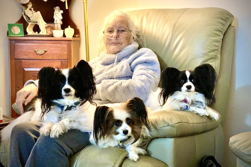 Lady in chair with three small dogs