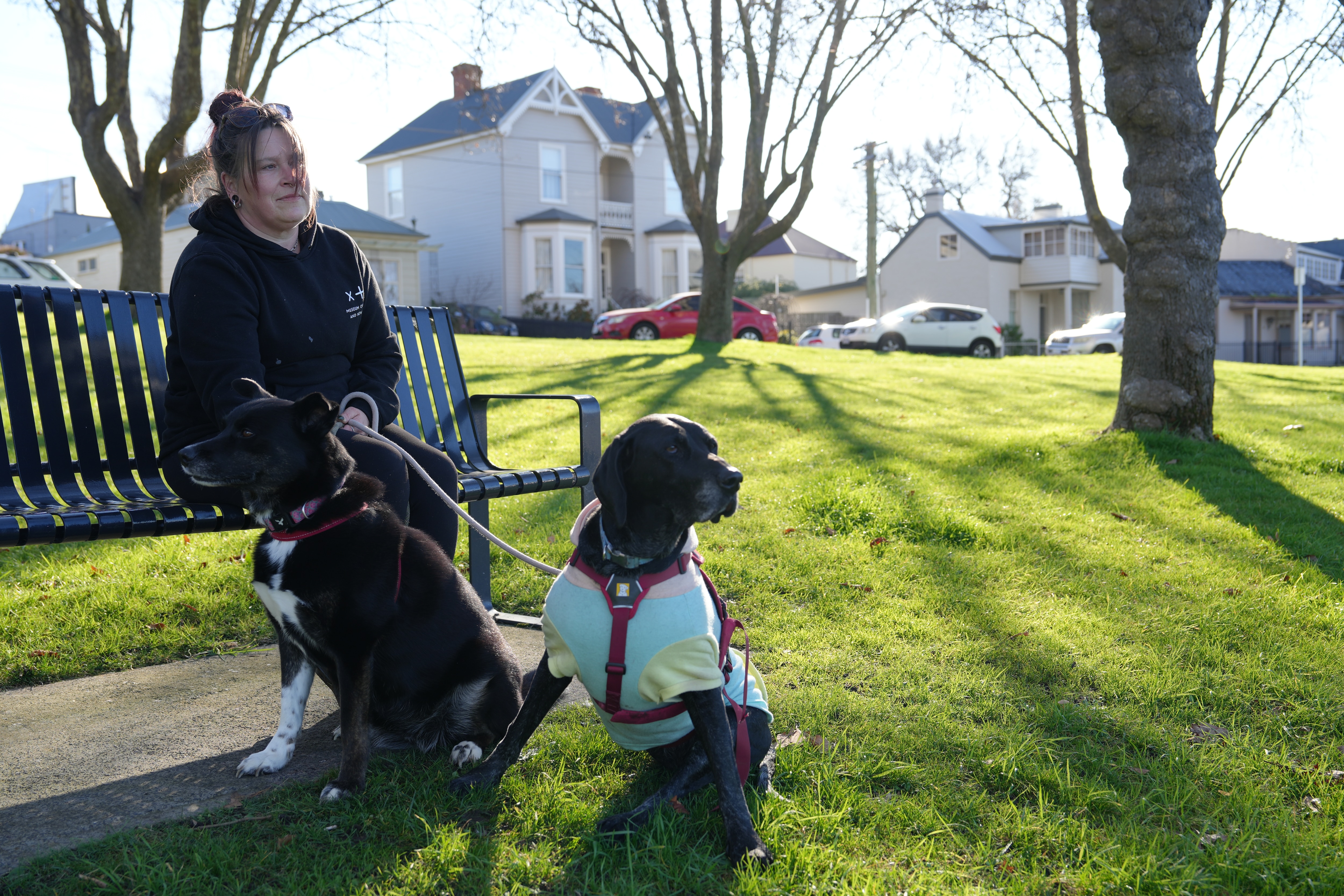 A woman is seated at a park bench with two dogs nearby.