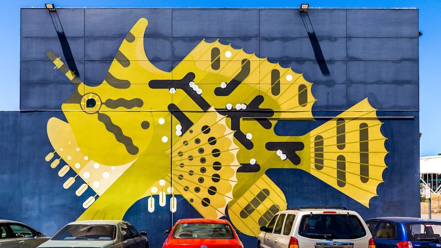 Histrio Histrio/Frog Fish mural by Amok Island at Kailis brothers in Leederville.