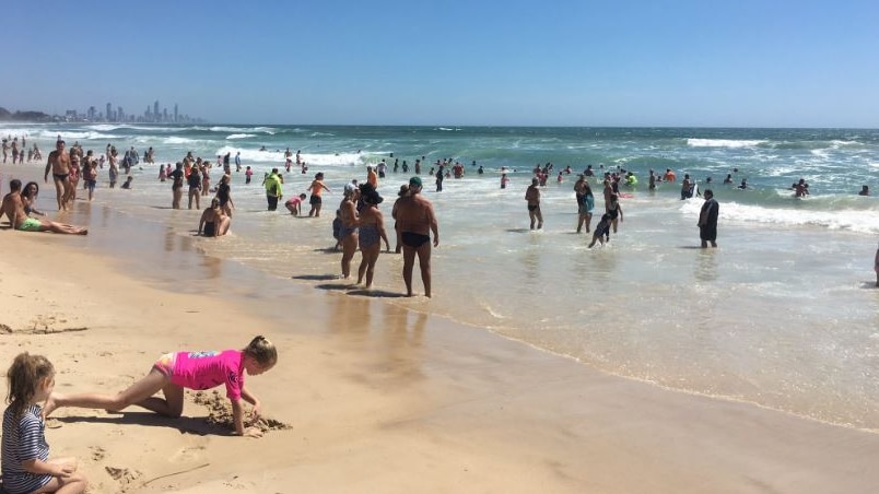 Big crowds gathered at Burleigh beach.