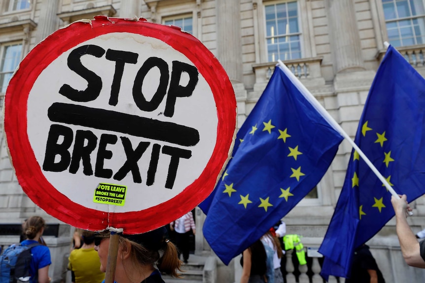 A 'stop brexit' sign next to European Union flags outside the Cabinet Office.