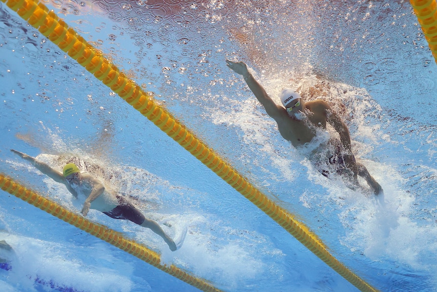 An underwater shot of two swimmers in a race, the one on the left in a gold Australian cap, the one on the right from Tunisia.