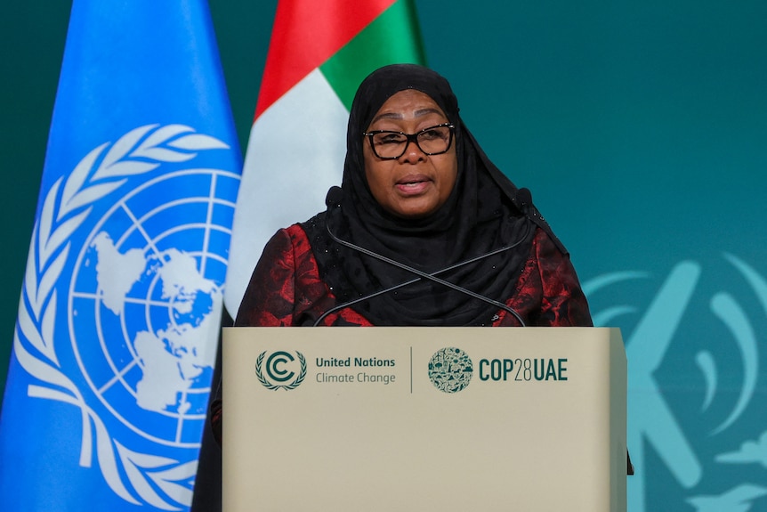 Woman wearing black hijab stands in front of a podium where a un flag is behind her. 