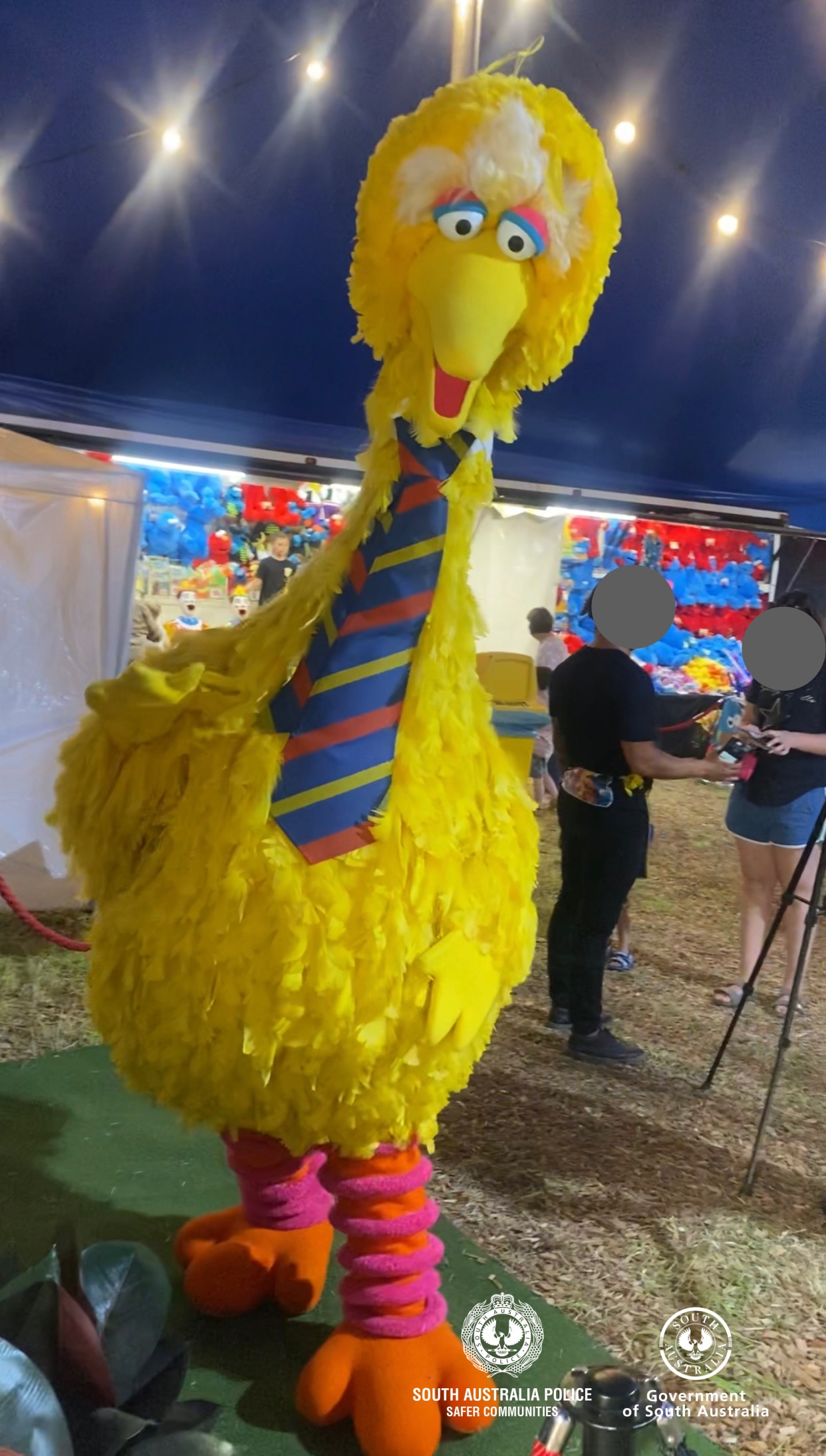 Police On Lookout For Big Bird Costume Stolen From Adelaide Sesame Street Circus Spectacular Abc News
