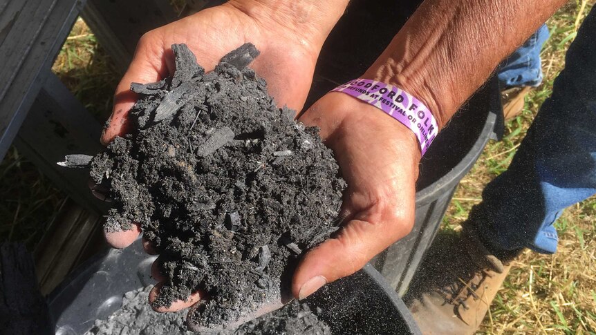 Biochar