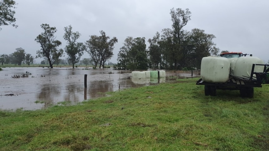 Flood waters washing away bales of silage, a ute parked nearby with bales on the back.