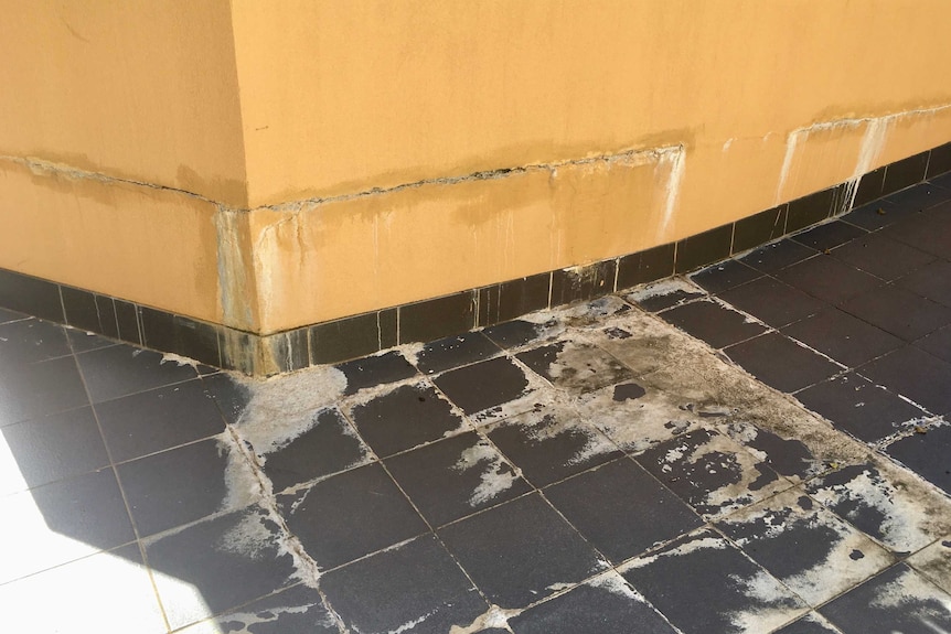 A cracked wall with damages floor tiles.