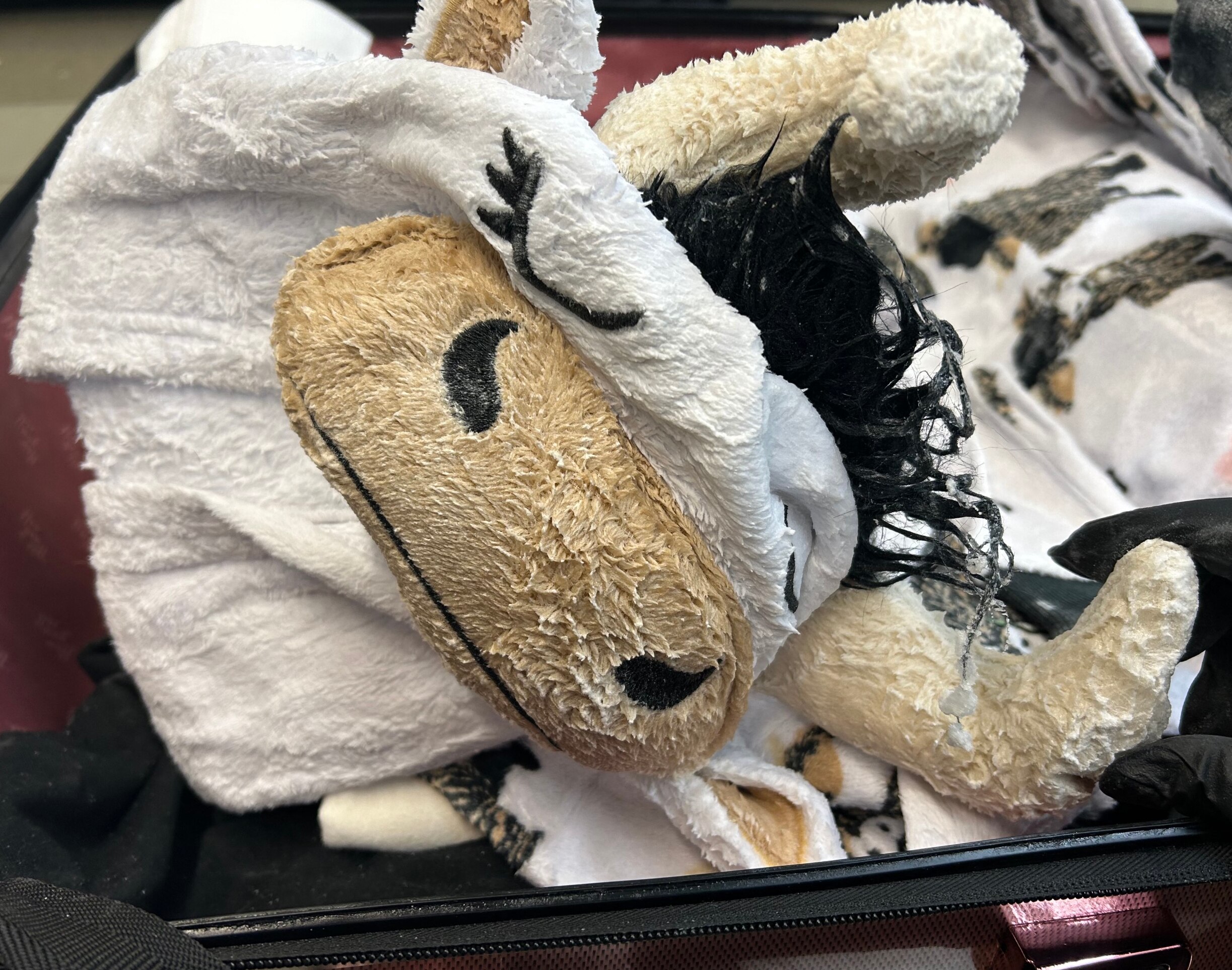 Close up of a cow pajama outfit inside a suitcase that is soaked in methamphetamine