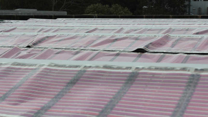 Printed solar panels on the roof of a building at the University of Newcastle.