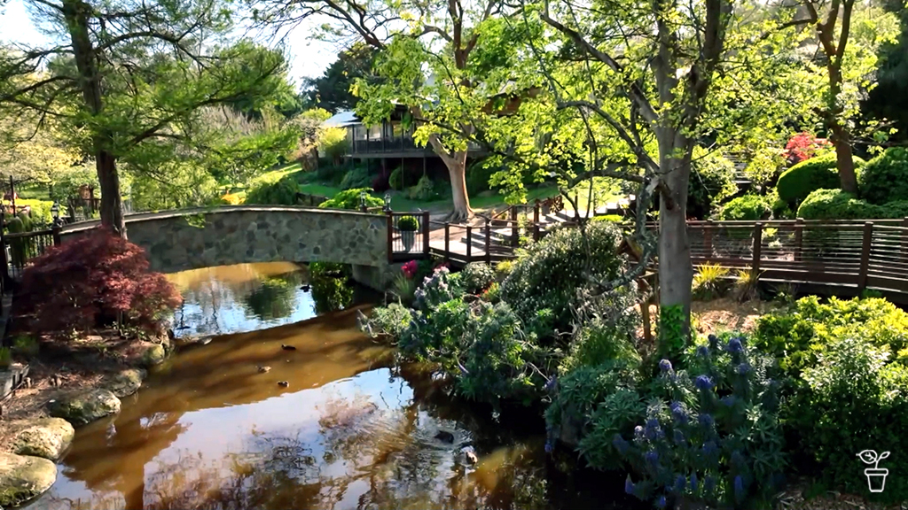 Lifetime Legacy Lifetime Legacy