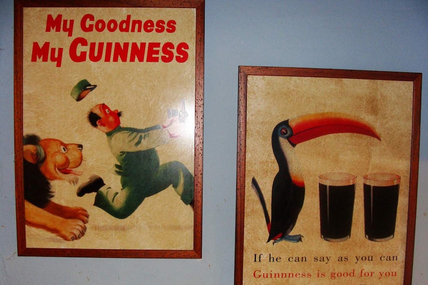 Guinness toucan advertisement