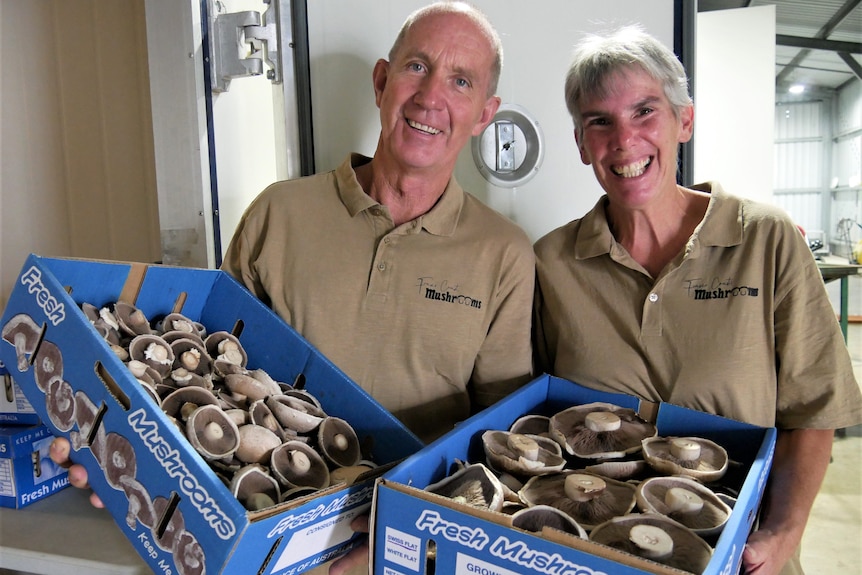Two older people smile while holding a cardboard tray of mushrooms.