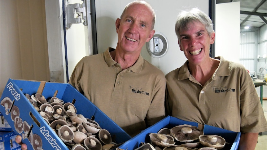 Two older people smile while holding a cardboard tray of mushrooms.
