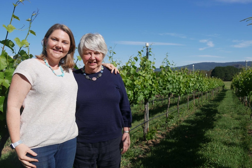 Two women are standing amongst vines with their arms over each other smiling at the camera