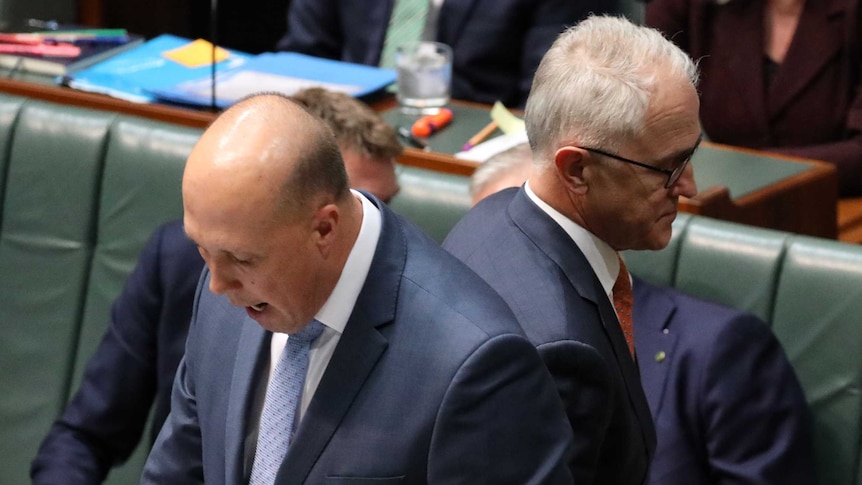 Mr Turnbull walks behind Mr Dutton, who is standing at the despatch box.