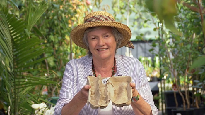 Lady in hat holding open an empty egg carton
