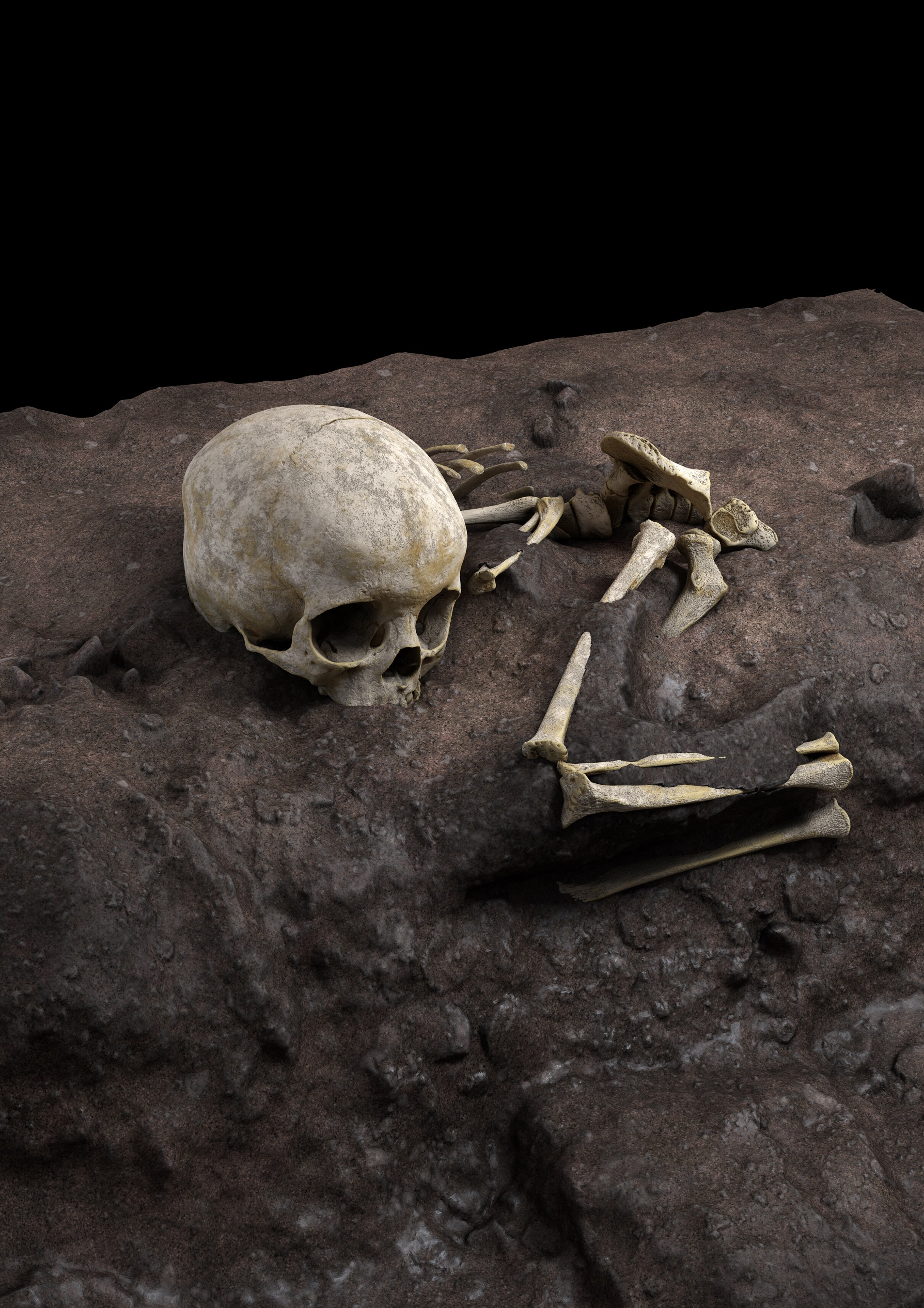A skeleton in burial pit