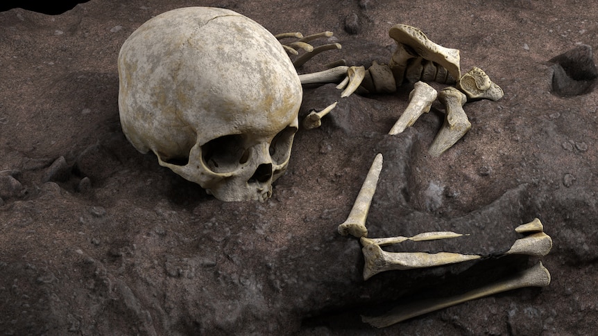 A skeleton in burial pit