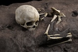A skeleton in burial pit