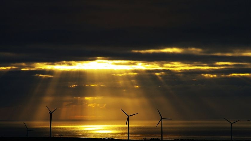 Turbines at Star Fish Hill wind farm.