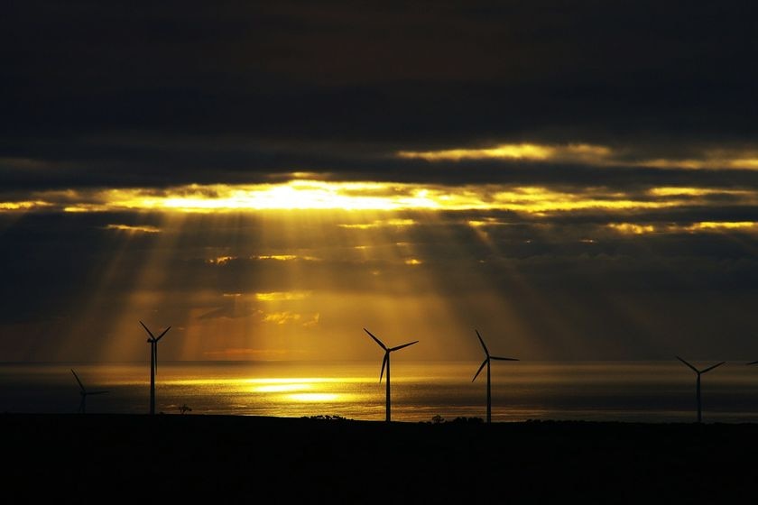 Turbines at Star Fish Hill wind farm.