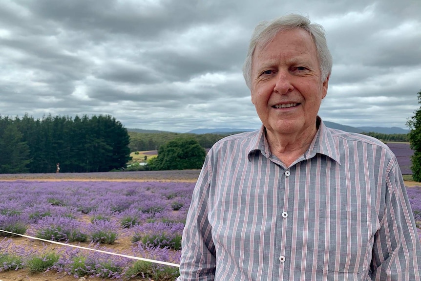 A man stands in front of a field of lavender.