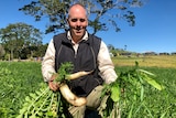 Man crouches in lush paddock holding up radishes, grasses and leaves.